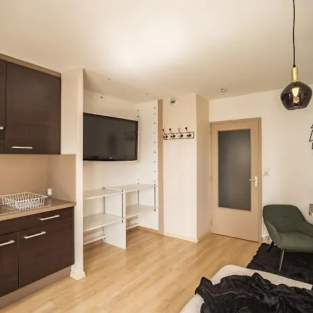 Voltaire Lion - 5 Min Hypercentre