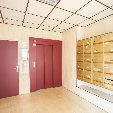 Voltaire Lion - 5 Min Hypercentre