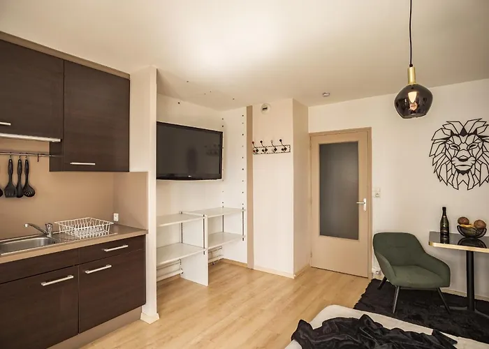 Voltaire Lion - 5 Min Hypercentre - Parking Prive